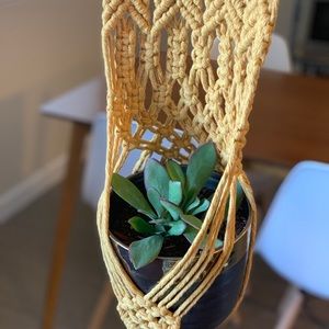 Macrame plant hanger Mustard